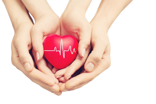 picture of hands that save your heart